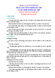 Giáo án Bài 41 KHTN 9 Chân trời sáng tạo (2024): Cấu trúc nhiễm sắc thể và đột biến nhiễm sắc thể