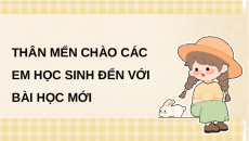 Giáo án Powerpoint Ôn tập chủ đề Con người và sức khỏe Khoa học lớp 5 Cánh diều