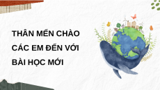 Giáo án Powerpoint Ôn tập chủ đề Sinh vật và môi trường Khoa học lớp 5 Cánh diều