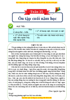 Bài tập cuối tuần Tiếng Việt 4 Tuần 35 Cánh diều (có lời giải)