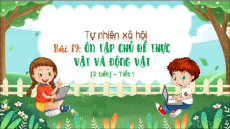 Giáo án Powerpoint Bài 19 Tự nhiên xã hội lớp 3 Chân trời sáng tạo: Ôn tập chủ đề thực vật và động vật