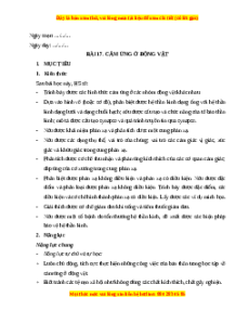 Giáo án Cảm ứng ở động vật Sinh học 11 Chân trời sáng tạo