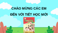 Giáo án Powerpoint Viết: Luyện tập tả cây cối (trang 75, 76) Tiếng việt lớp 4 Cánh diều