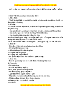 Giáo án Bài 14 Địa lí 9: Giao thông vận tải và bưu chính viễn thông