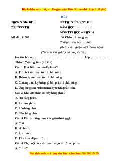 Đề thi giữa kì 1 Tin học lớp 4 Chân trời sáng tạo - Đề 2