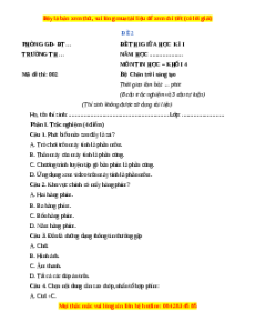 Đề thi giữa kì 1 Tin học lớp 4 Chân trời sáng tạo - Đề 2