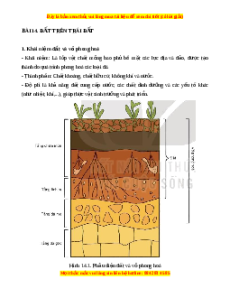 Lý thuyết Bài 14 Địa lý 10 Chân trời sáng tạo: Đất trên Trái Đất