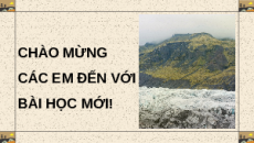 Giáo án Powerpoint Ôn tập Chương 6 Sinh học 12 Chân trời sáng tạo