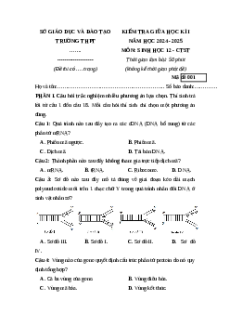 Đề thi giữa kì 1 Sinh học 12 Chân trời sáng tạo 2024 (Đề 1)