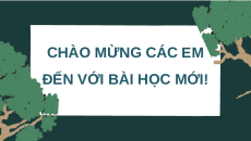 Giáo án Powerpoint Bài 12: Thành tựu chọn, tạo giống bằng lai hữu tính Sinh học 12 Cánh diều