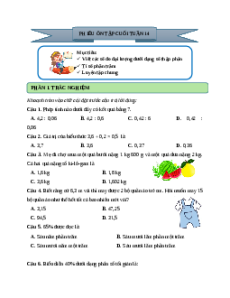 Bài tập cuối tuần Toán lớp 5 Cánh diều Tuần 14