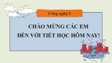 Bài giảng Powerpoint Công nghệ lớp 3 Kết nối tri thức