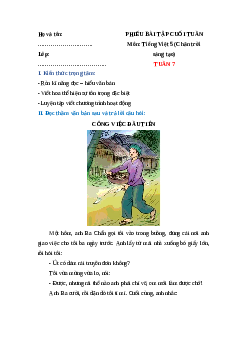 Bài tập cuối tuần Tiếng Việt lớp 5 Chân trời sáng tạo Tuần 7