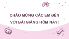 Giáo án Powerpoint Miễn dịch ở người và động vật Sinh học 11 Cánh diều