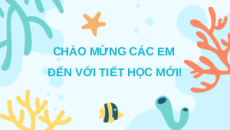 Giáo án Powerpoint Ước tính số cá thể trong một quần thể Toán 10 Kết nối tri thức