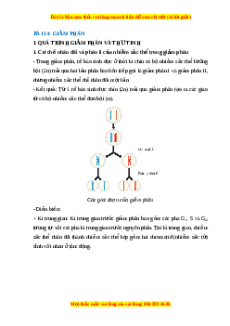 Lý thuyết Sinh học 10 Cánh diều Bài 14: Giảm phân