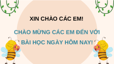 Giáo án Powerpoint Bài 1 Công nghệ lớp 4 Chân trời sáng tạo: Hoa và cây cảnh quanh em