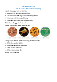 Trắc nghiệm KHTN 6 Kết nối tri thức phần Sinh học (có đúng sai)