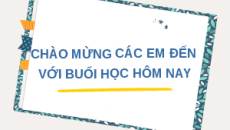 Giáo án Powerpoint Ôn tập Chương 2  Sinh học 10 Chân trời sáng tạo