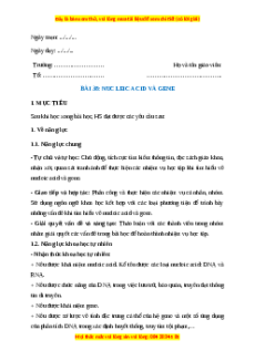 Giáo án Bài 38 KHTN 9 Kết nối tri thức (2024): Nucleic acid và gene