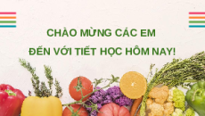 Giáo án Powerpoint Bài 5: Phương pháp bảo quản và chế biến thực phẩm Công nghệ 6 Kết nối tri thức