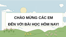 Giáo án Powerpoint Hình vuông Toán 8 Cánh diều