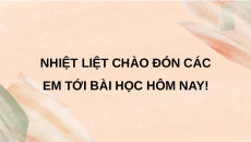 Giáo án Powerpoint Bài 19 Sinh học 11 Chân trời sáng tạo: Khái quát về sinh trưởng và phát triển ở sinh vật