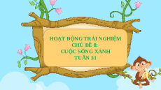 Giáo án Powerpoint Tuần 31 Hoạt động trải nghiệm lớp 3 Chân trời sáng tạo