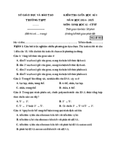 Đề thi giữa kì 1 Sinh học 12 Chân trời sáng tạo 2024 (Đề 3)