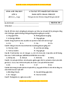 Đề thi thử tốt nghiệp Sinh học sở Vĩnh Phúc lần 1 năm 2024