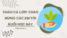 Giáo án Powerpoint Bài 4: Một số ứng dụng CNSH trong bảo vệ thực vật Chuyên đề Công nghệ trồng trọt 10 Kết nối tri thức