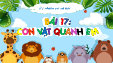 Giáo án Powerpoint Bài 17 Tự nhiên xã hội lớp 1 Kết nối tri thức: Con vật quanh em