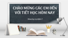 Bài giảng Powerpoint Sinh học - KHTN 7 Kết nối tri thức