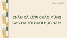 Giáo án Powerpoint Bài 12: Các bước trong quy trình trông trọt theo tiêu chuẩn Vietgap Chuyên đề Công nghệ trồng trọt 10 Kết nối tri thức