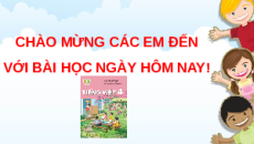 Giáo án Powerpoint Đọc: Vệt phấn trên mặt bàn (trang 12, 13) Tiếng việt lớp 4 Kết nối tri thức (Phiên bản 2)