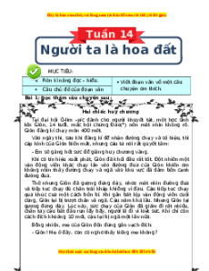Bài tập cuối tuần Tiếng việt 4 Tuần 14 Cánh diều (có lời giải)