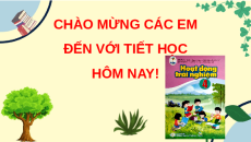 Giáo án Powerpoint Tuần 11 HĐTN lớp 4 Cánh diều