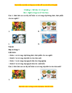 Trắc nghiệm Công nghệ 7 Bài 1 Chân trời sáng tạo: Nghề trồng trọt ở Việt Nam