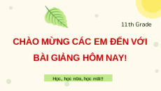 Giáo án Powerpoint Khái quát về sinh trưởng và phát triển ở sinh vật Sinh học 11 Cánh diều