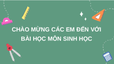 Giáo án Powerpoint Giới thiệu chung về các cấp độ tổ chức của thế giới sống Sinh học 10 Cánh diều