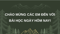 Giáo án Powerpoint Bài 9: Cơ sở hình thành văn minh Đông Nam Á thời kì cổ - trung đại Lịch sử 10 Kết nối tri thức