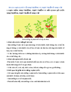 Lý thuyết Khái quát về sinh trưởng và phát triển ở sinh vậtKHTN 7 Cánh diều