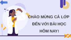 Giáo án Powerpoint Bài 6: Thực hành Sinh học 12 Chân trời sáng tạo
