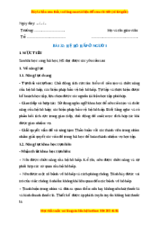 Giáo án Hệ hô hấp ở người Sinh học 8 Cánh diều