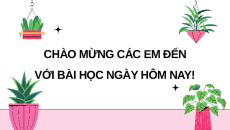 Giáo án Powerpoint Bài 22: Dự án trồng hoa trong chậu lớp 10 Kết nối tri thức
