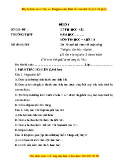 Đề thi cuối kì 2 Tin học 11 Kết nối tri thức (Đề 1)