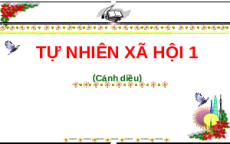 Giáo án Powerpoint Bài 7: Thực hành quan sát cuộc sống xung quanh trường Tự nhiên xã hội lớp 1 Cánh diều