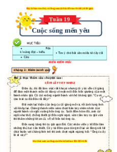 Bài tập cuối tuần Tiếng Việt 4 Tuần 19 Chân trời sáng tạo (có lời giải)