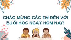 Giáo án Powerpoint Bài 28: Nấm KHTN 6 Chân trời sáng tạo