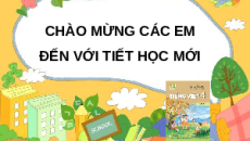 Giáo án Powerpoint Luyện từ và câu: Luyện tập về biện pháp nhân hóa (trang 87, 88) Tiếng việt lớp 4 Kết nối tri thức (Phiên bản 2)